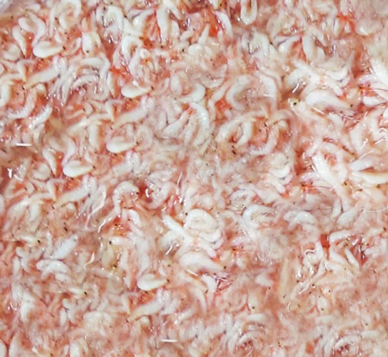 반찬) 새우젓말통 베트남