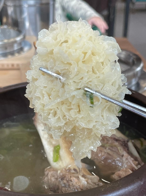 흰목이버섯1kg