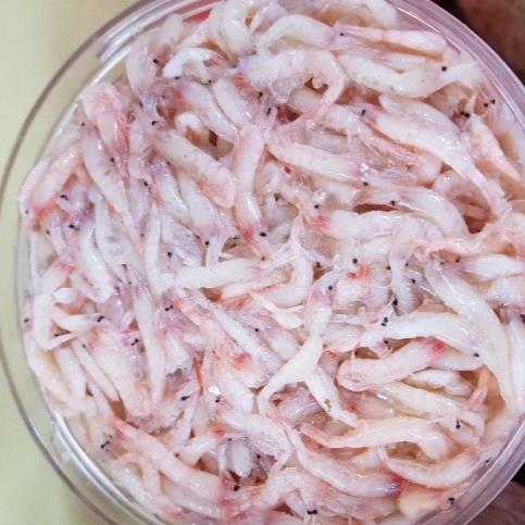 반찬) 새우젓 수입 1kg