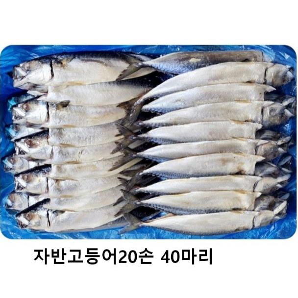 냉동수산) 자반고등어박스20손(중)