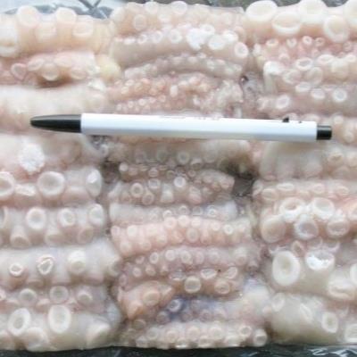 절단낙지(M)500g 베트남