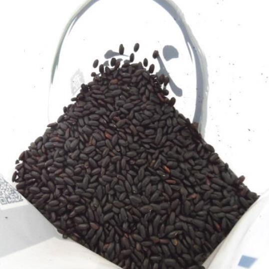 쌀) 흑미5kg