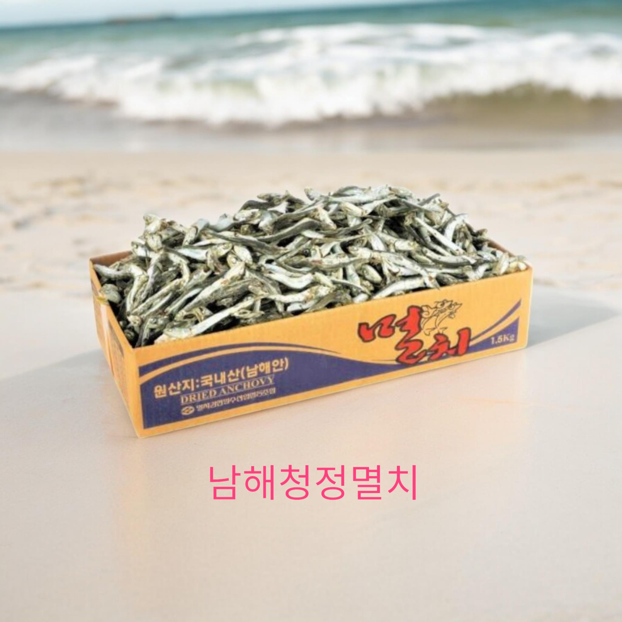  다시멸치 국물용1.5kg