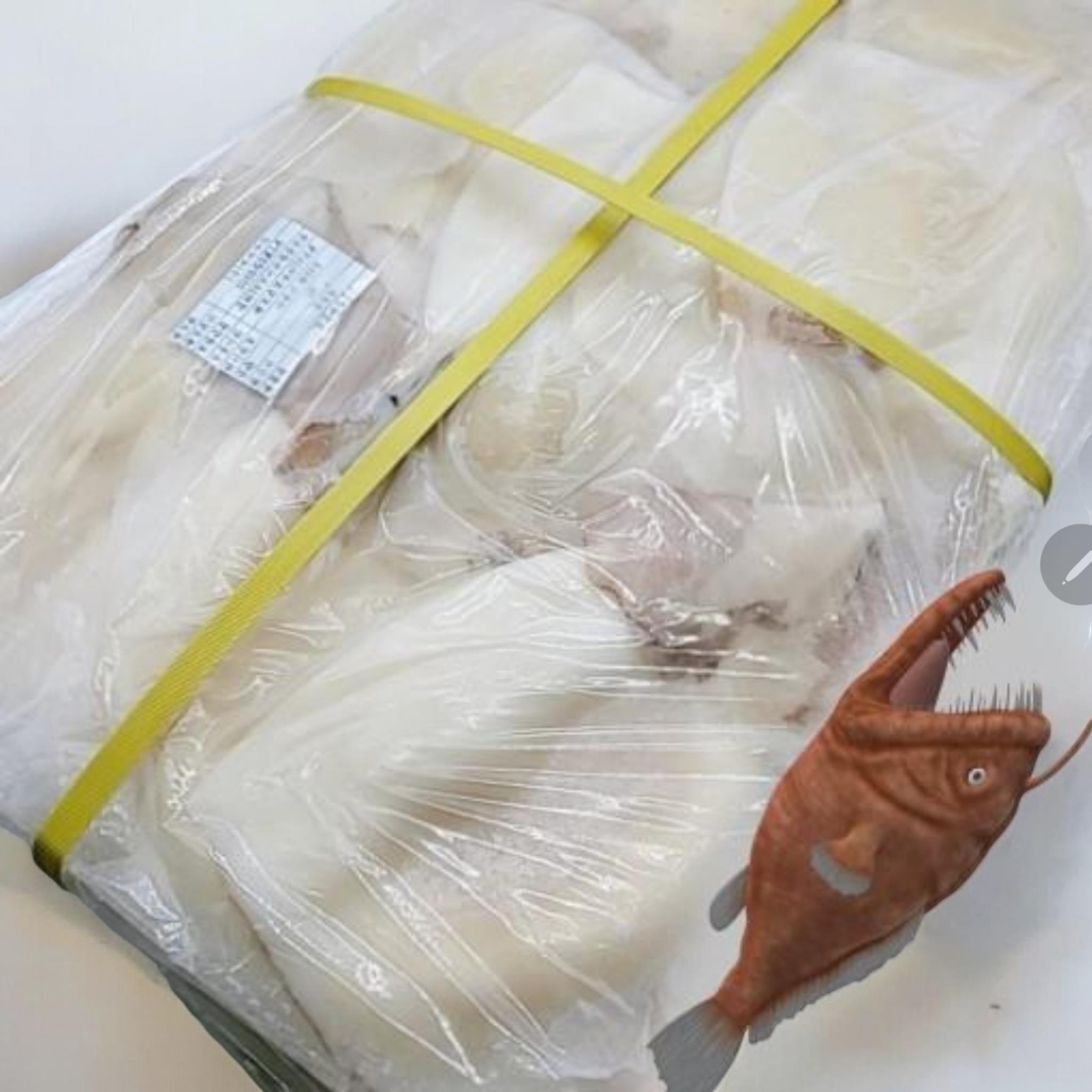 착한오징어) 몸통살3kg